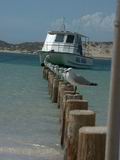 0177CoralBayMoeven