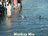 0135MonkeyMia12