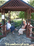 0589Ulla+Birgit on Strawberryfarm